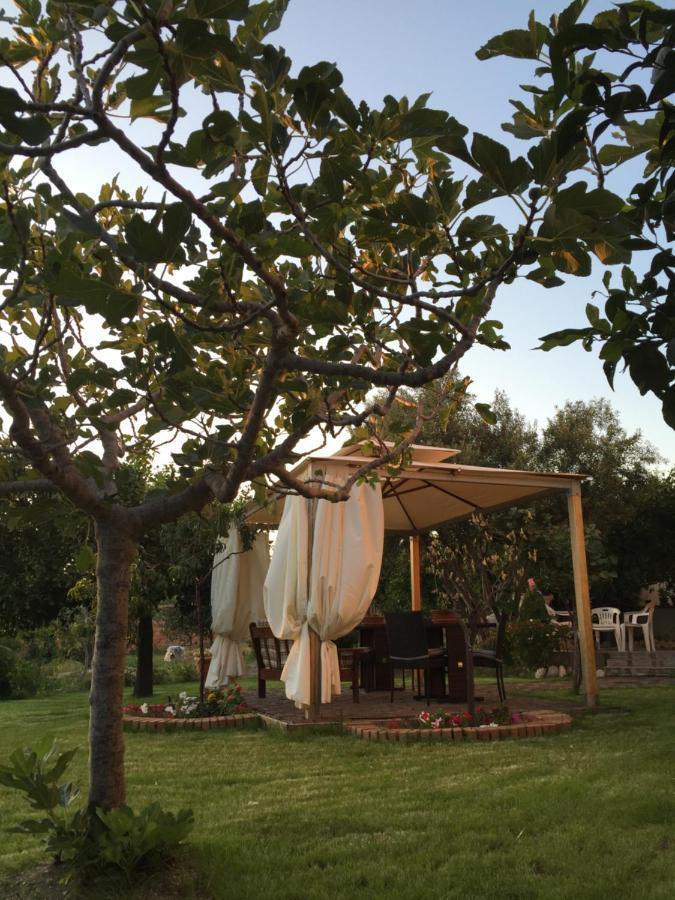 B&B Villa Magna Grecia Lazzaro Ngoại thất bức ảnh